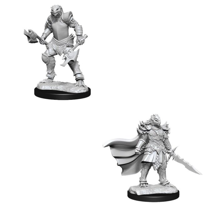 Dragonborn Fighter - Female [D&D Nolzurs Marvelous Unpainted Miniatures]