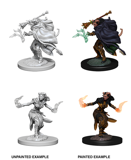 D&D - Female Tiefling Warlock (Nolzurs Marvelous Unpainted Miniatures)