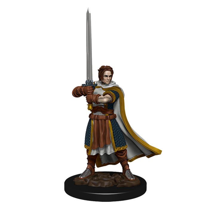 D&D - Human Cleric Male (Premium Painted Figures)