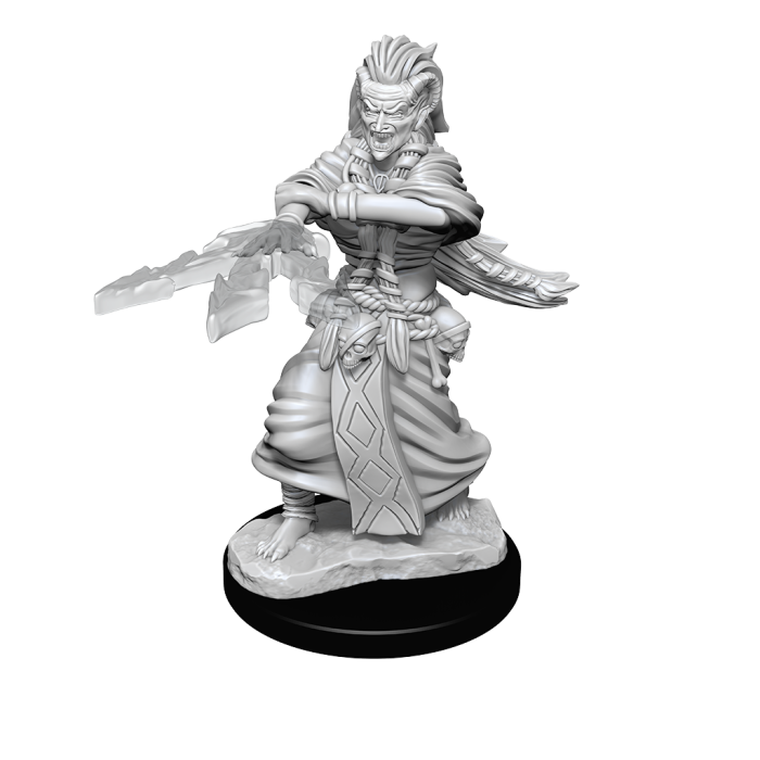 Night Hag & Dusk Hag (D&D Nolzurs Marvelous Unpainted Miniatures)